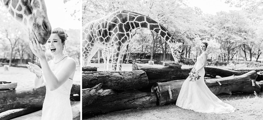 Chicago Brookfield Zoo Wedding » Hazel & Skye